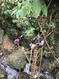 a group of people standing on a wooden bridge in the jungle