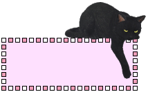 HI MY NAME IS YIN AKA POPPA