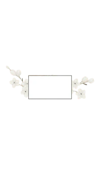 a white frame with a white flower on it