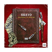 shayo - everything ft taylor swift