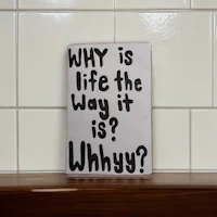 why is life the way it is whyy?