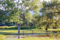 a picnic table in the middle of a flooded field
