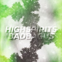 high spirits bad boys cover art