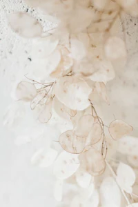 a close up of a white flower garland