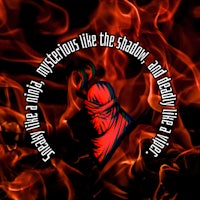 an image of a ninja in flames with the words'mysterious like the shadow'